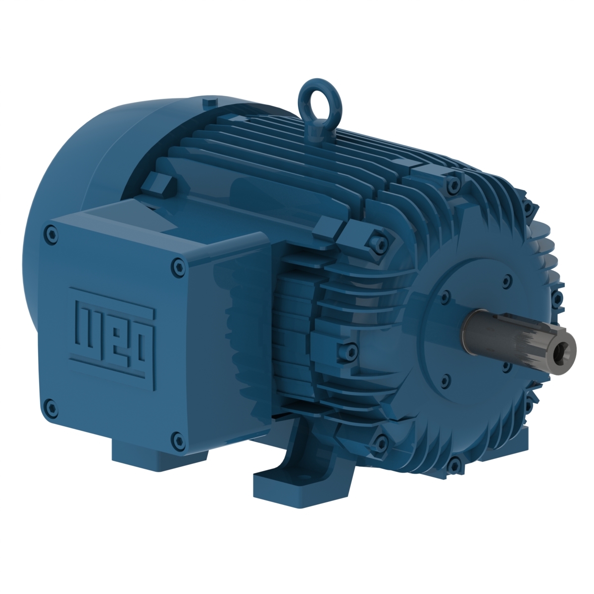 W21 Explosão Standard 20 cv 8P 180L 3F 220/380 V 60 Hz IC411