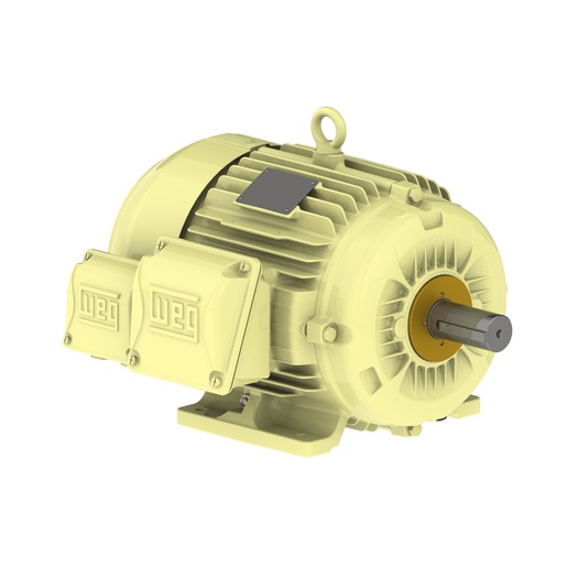 W22Xtb IR2 0.5 cv 6P 80 3F 220/380 V 60 Hz IC411 - TFVE - B3D