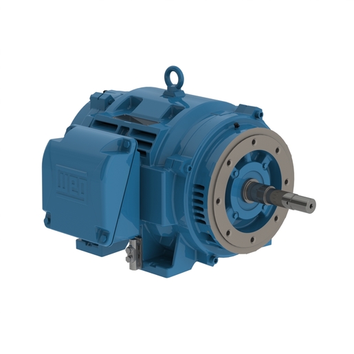 W40 JP Pump NEMA Premium Efficiency 50 HP 6P 364/5JP 3Ph 230/460//380 V 60//50 Hz IC01 - ODP - Foot-mounted
