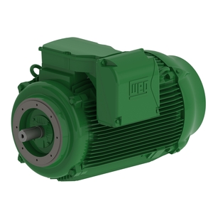W22 IE2 75 HP 8P 315S/M 3F 380/660 V 50 Hz IC411 - TEFC - B14R(E)
