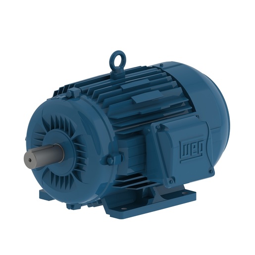 W22 IE2 2.2 kW 4P 100L 3Ph 220-230-240/380-400-415//460 V 50 Hz IC411 - TEFC - B3R(E)