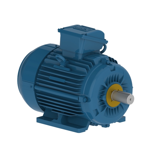 W22Xtb IE2 0.75 kW 6P 90S 3F 220-230-240/380-400-415//460 V 50 Hz IC411 - TEFC - B3T