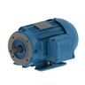 W22 IE1 Standard Efficiency 0.18 kW 2P 63 3F 525-550 V 50 Hz IC411 - TEFC - B34R(E)
