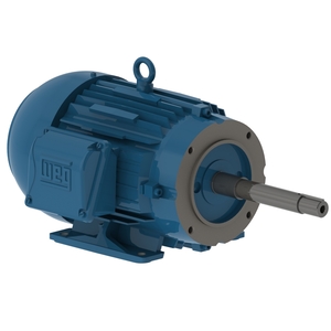 W22 Bomba Monobloco JP IR3 Premium 15 cv 4P 132M/L 3F 220/380 V 60 Hz IC411 - TFVE - B34D