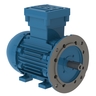 W21 Prueba de Explosión IE1 1.5 kW 4P 90L 3F 220-240/380-415//440-460 V 50 Hz IC411 - TEFC - B35T