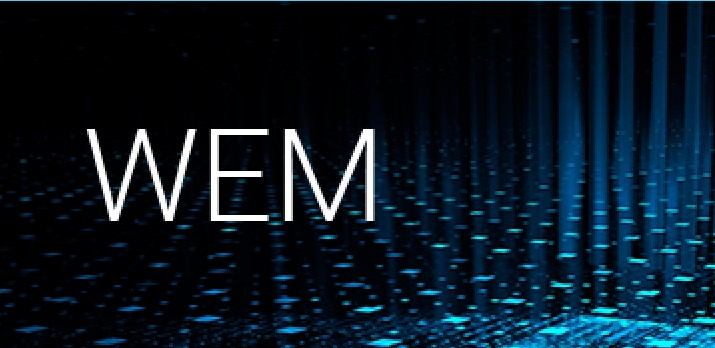 WEG Energy Management