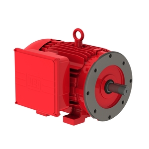 Farm Duty 10 HP 4P 215TC 1Ph 230 V 60 Hz IC411 - TEFC - Foot-mounted