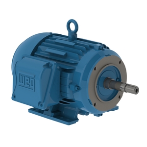 W22 Close Coupled Pump JM NEMA Premium Efficiency 10 HP 4P 213/5JM 3Ph 200 V 60 Hz IC411 - TEFC - Foot-mounted