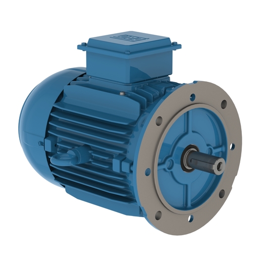 W20 Standard Efficiency 2.2 kW 4P 100L 3Ph 220-240/380-415//460 V 50 Hz IC411 - TEFC - B5T