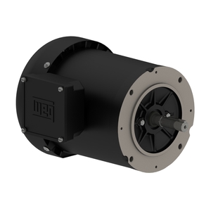 Centrifugal Pump 0.5 HP 2P B56C 3Ph 208-230/460 V 60 Hz IC411 - TEFC - Footless