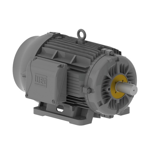 W22Xec WELL IR3 Premium 40 cv 6P 200L 3F 440 V 60 Hz IC411 - TFVE - B3D