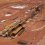 Motores no Deserto Australiano